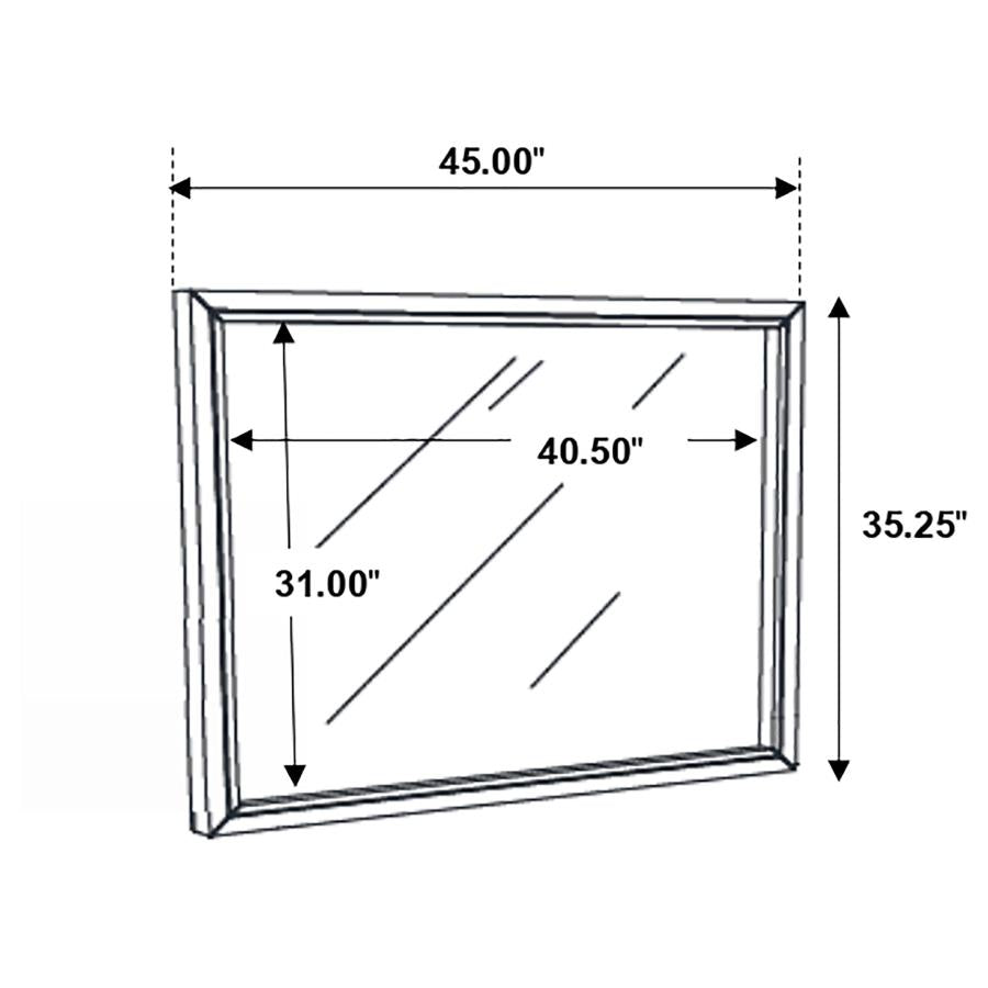 CoasterEveryday Serenity Rectangular Dresser Mirror Mod Grey