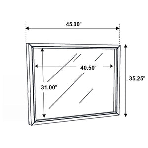 CoasterEveryday Serenity Rectangular Dresser Mirror Mod Grey