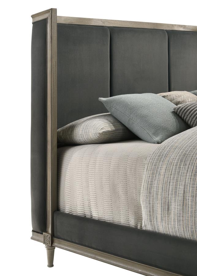 CoasterElevations Alderwood Upholstered Panel Bed Charcoal Grey