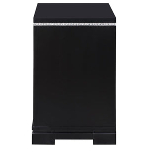 CoasterEssence Cappola Rectangular 2-Drawer Nightstand Silver And Black