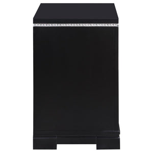 CoasterEssence Cappola Rectangular 2-Drawer Nightstand Silver And Black