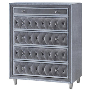 Antonella 5-Drawer Upholstered Chest Grey