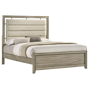 Giselle Panel Bed With Upholstered Headboard Rustic Beige