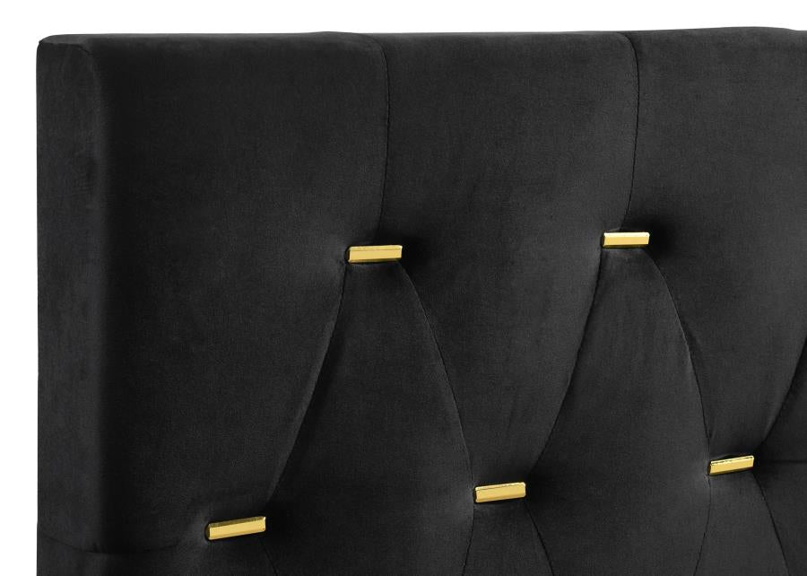 CoasterEveryday Kendall Tufted Panel Bed Black And Gold