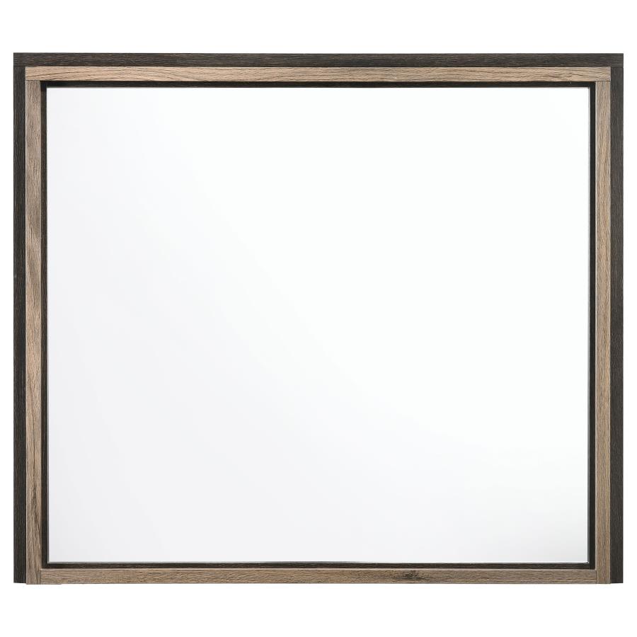 CoasterEveryday Baker Rectangular Dresser Mirror Brown And Light Taupe