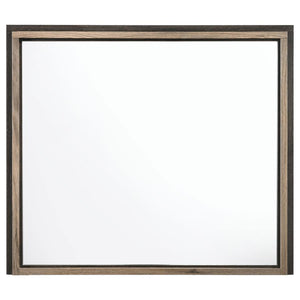 CoasterEveryday Baker Rectangular Dresser Mirror Brown And Light Taupe