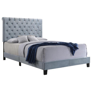 CoasterEssence Warner Upholstered Bed Slate Blue