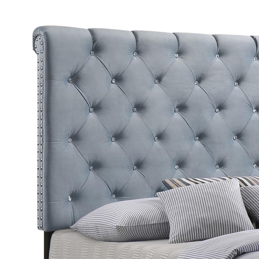 CoasterEssence Warner Upholstered Bed Slate Blue