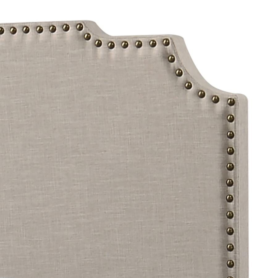 CoasterEveryday Tamarac Upholstered Nailhead Bed Beige