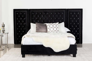 CoasterEssence Hailey Upholstered Platform Bed With Wall Panel Black