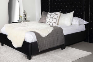 CoasterEssence Hailey Upholstered Platform Bed With Wall Panel Black