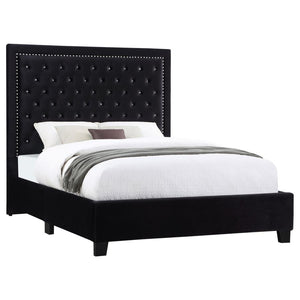 CoasterEssence Hailey Upholstered Tufted Platform Bed Black