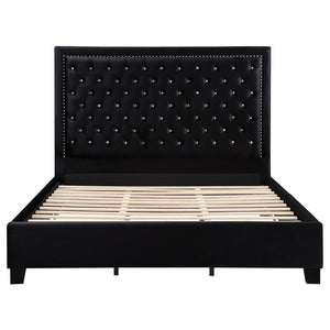 CoasterEssence Hailey Upholstered Tufted Platform Bed Black