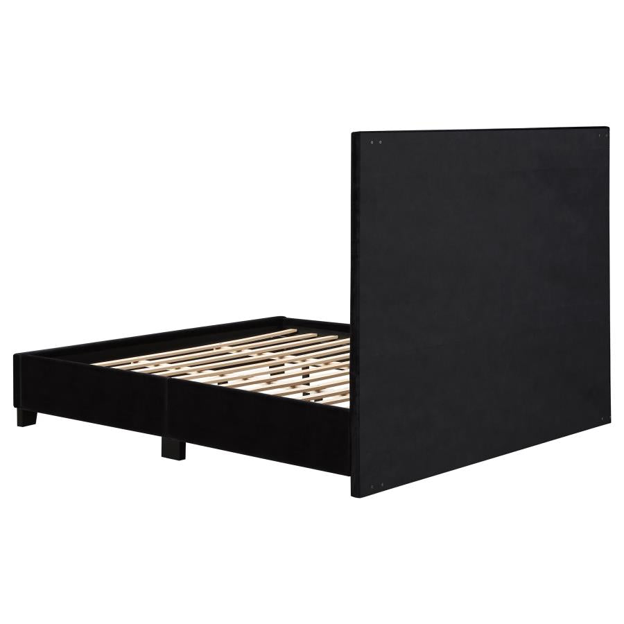 CoasterEssence Hailey Upholstered Tufted Platform Bed Black