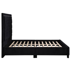 CoasterEssence Hailey Upholstered Tufted Platform Bed Black