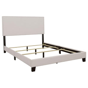 CoasterEveryday Boyd Upholstered Bed With Nailhead Trim Ivory