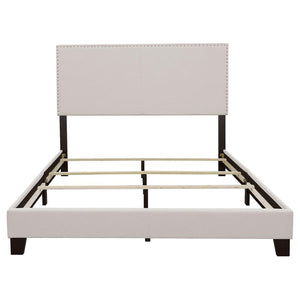 CoasterEveryday Boyd Upholstered Bed With Nailhead Trim Ivory