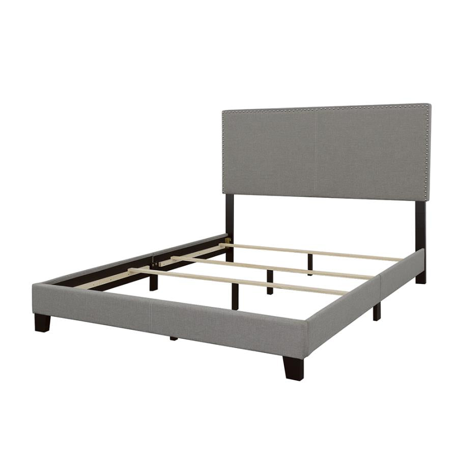 CoasterEveryday Boyd Upholstered Bed With Nailhead Trim Grey